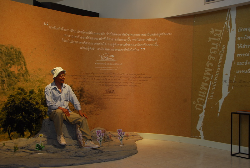 ย้อนรอยนักพฤกษศาสตร์ไทย (ก้าวแรกของการสำรวจพรรณไม้ในภาคเหนือของไทย)-33